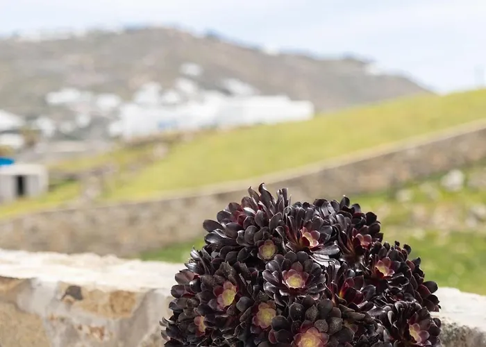 Appartement Ikade Mykonos *