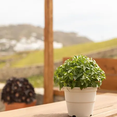 Ikade Mykonos Mykonos Town