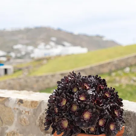 公寓 Ikade Mykonos *