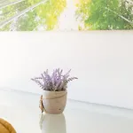Ikade Mykonos Apartamento